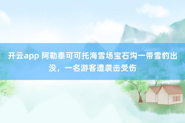 开云app 阿勒泰可可托海雪场宝石沟一带雪豹出没，一名游客遭袭击受伤