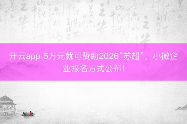 开云app 5万元就可赞助2026“苏超”,小微企业报名方式公布!