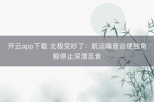 开云app下载 北极变吵了:航运噪音迫使独角鲸停止深潜觅食