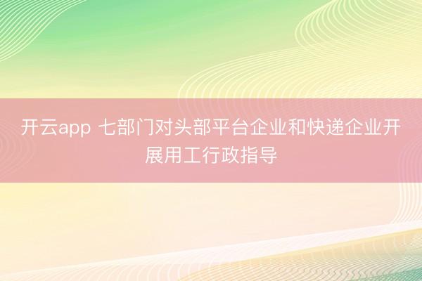 开云app 七部门对头部平台企业和快递企业开展用工行政指导
