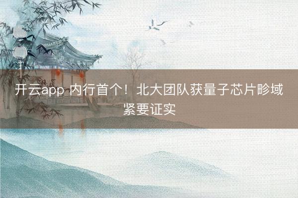 开云app 内行首个！北大团队获量子芯片畛域紧要证实