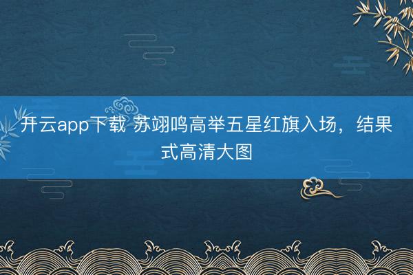 开云app下载 苏翊鸣高举五星红旗入场，结果式高清大图