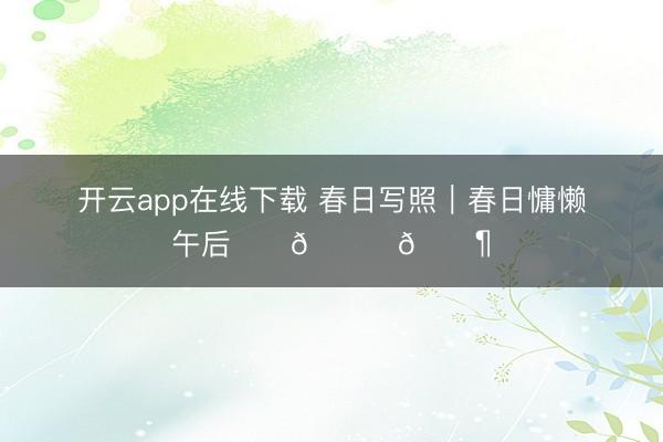 开云app在线下载 春日写照｜春日慵懒午后☀️🍃🐶