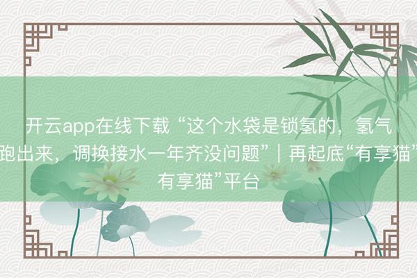 开云app在线下载 “这个水袋是锁氢的，氢气不会跑出来，调换接水一年齐没问题”｜再起底“有享猫”平台
