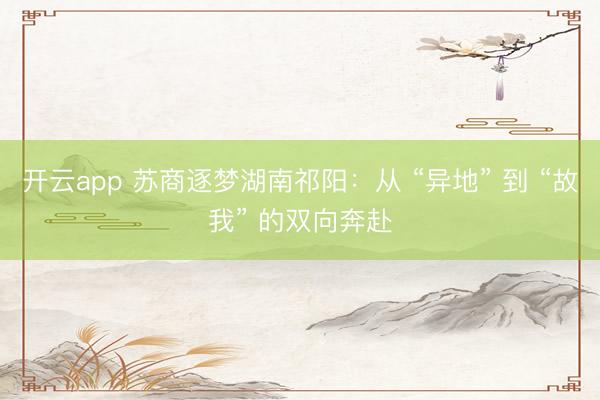 开云app 苏商逐梦湖南祁阳：从 “异地” 到 “故我” 的双向奔赴