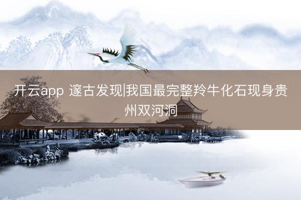 开云app 邃古发现|我国最完整羚牛化石现身贵州双河洞