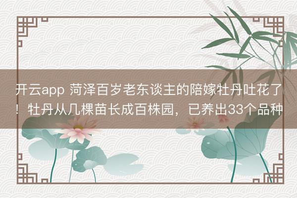 开云app 菏泽百岁老东谈主的陪嫁牡丹吐花了！牡丹从几棵苗长成百株园，已养出33个品种