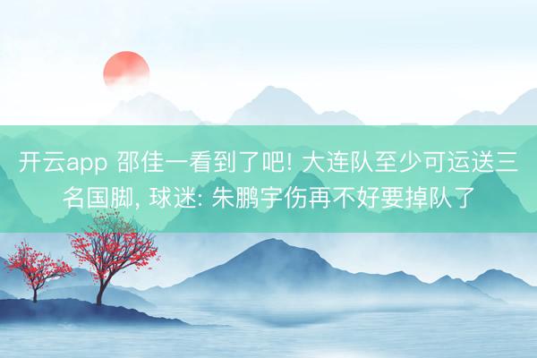 开云app 邵佳一看到了吧! 大连队至少可运送三名国脚， 球迷: 朱鹏宇伤再不好要掉队了