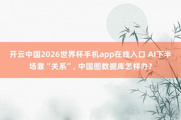 开云中国2026世界杯手机app在线入口 AI下半场靠“关系”， 中国图数据库怎样办?