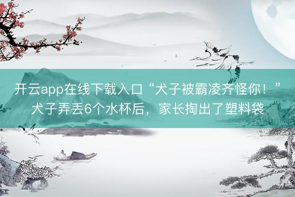 开云app在线下载入口 “犬子被霸凌齐怪你!”犬子弄丢6个水杯后,家长掏出了塑料袋