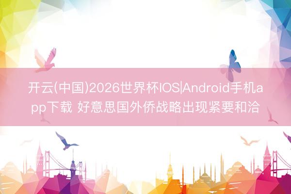 开云(中国)2026世界杯IOS|Android手机app下载 好意思国外侨战略出现紧要和洽