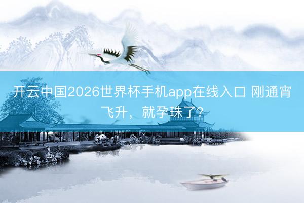 开云中国2026世界杯手机app在线入口 刚通宵飞升,就孕珠了?