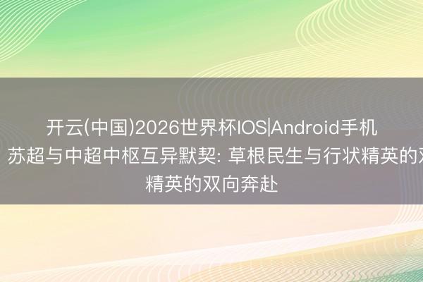 开云(中国)2026世界杯IOS|Android手机app下载 苏超与中超中枢互异默契: 草根民生与行状精英的双向奔赴