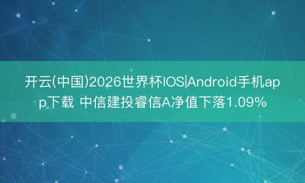 开云(中国)2026世界杯IOS|Android手机app下载 中信建投睿信A净值下落1.09%